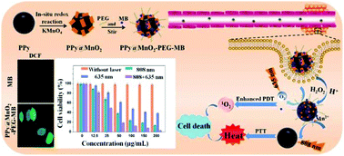 Graphical abstract: MnO2 nanosheets anchored with polypyrrole nanoparticles as a multifunctional platform for combined photothermal/photodynamic therapy of tumors