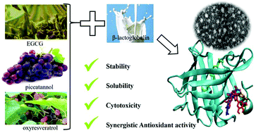 Graphical abstract: Co-encapsulation of (−)-epigallocatechin-3-gallate and piceatannol/oxyresveratrol in β-lactoglobulin: effect of ligand–protein binding on the antioxidant activity, stability, solubility and cytotoxicity
