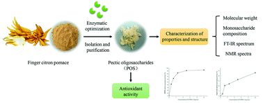 Graphical abstract: Enzymatic extraction of pectic oligosaccharides from finger citron (Citrus medica L. var. sarcodactylis Swingle) pomace with antioxidant potential