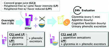 Graphical abstract: Effects of Concord grape juice flavor intensity and phenolic compound content on glycemia, appetite and cognitive function in adults with excess body weight: a randomized double-blind crossover trial