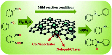 Graphical abstract: Cobalt nanoclusters coated with N-doped carbon for chemoselective nitroarene hydrogenation and tandem reactions in water