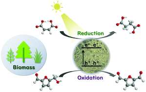 Graphical abstract: Conjugated microporous polymers as a visible light driven platform for photo-redox conversion of biomass derived chemicals