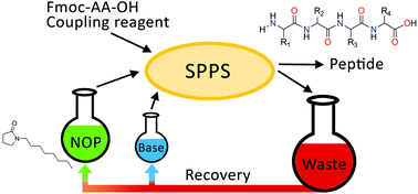 Graphical abstract: Steps towards sustainable solid phase peptide synthesis: use and recovery of N-octyl pyrrolidone