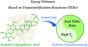 Graphical abstract: Natural glycyrrhizic acid: improving stress relaxation rate and glass transition temperature simultaneously in epoxy vitrimers