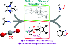 Graphical abstract: A substituent- and temperature-controllable NHC-derived zwitterionic catalyst enables CO2 upgrading for high-efficiency construction of formamides and benzimidazoles