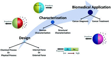 Graphical abstract: Bioinspired micro/nanomotors towards a self-propelled noninvasive diagnosis and treatment of cancer