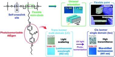Graphical abstract: The transfer and amplification of cyanostilbene molecular function to advanced flexible optical paints through self-crosslinkable side-chain liquid crystal polysiloxanes