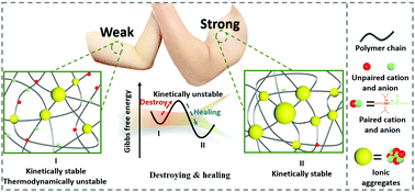 Graphical abstract: Thermal and mechanical activation of dynamically stable ionic interaction toward self-healing strengthening elastomers