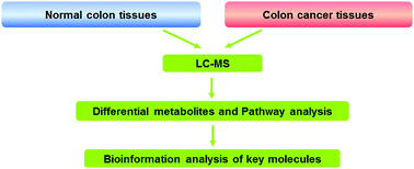 Graphical abstract: Tissue metabolic profiling reveals major metabolic alteration in colorectal cancer