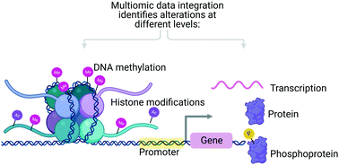 Graphical abstract: Multi-omics data integration reveals correlated regulatory features of triple negative breast cancer