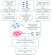 Graphical abstract: HOPMCLDA: predicting lncRNA–disease associations based on high-order proximity and matrix completion