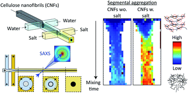 Graphical abstract: Understanding ion-induced assembly of cellulose nanofibrillar gels through shear-free mixing and in situ scanning-SAXS