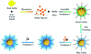 Graphical abstract: Photoluminescence investigations of sulfur quantum dots synthesized by a bubbling-assisted strategy