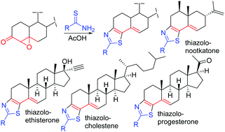 Graphical abstract: Benign synthesis of fused-thiazoles with enone-based natural products and drugs for lead discovery