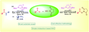 Graphical abstract: N-Heterocyclic carbene (NHC) catalyzed amidation of aldehydes with amines via the tandem N-hydroxysuccinimide ester formation