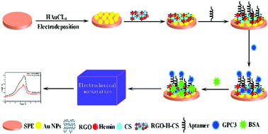 Graphical abstract: Label-free electrochemical aptasensor based on reduced graphene oxide–hemin–chitosan nanocomposite for the determination of glypican-3