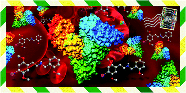 Graphical abstract: Recreational drugs 25I-NBOH and 25I-NBOMe bind to both Sudlow's sites I and II of human serum albumin (HSA): biophysical and molecular modeling studies
