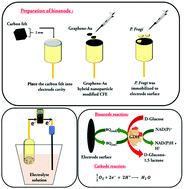 Graphical abstract: Pseudomonas fragi/graphene–gold hybrid nanomaterial bioanode based microbial fuel cell