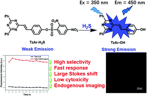 Graphical abstract: A novel fast-responsive fluorescent probe based on 1,3,5-triazine for endogenous H2S detection with large Stokes shift and its application in cell imaging