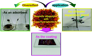 Graphical abstract: Attapulgite as a skeleton for the fabrication of magnetic structural-functional materials with a superhydrophobic shell