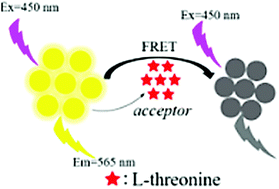 Graphical abstract: Yellow emission N-doped fluorescent carbon dots as fluorescent nanoprobes for the detection of L-threonine in real samples