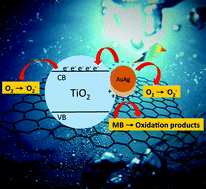 Graphical abstract: An improved plasmonic Au–Ag/TiO2/rGO photocatalyst through entire visible range absorption, charge separation and high adsorption ability