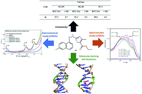Graphical abstract: Synthesis of hybrids thiazole–quinoline, thiazole–indole and their analogs: in vitro anti-proliferative effects on cancer cell lines, DNA binding properties and molecular modeling