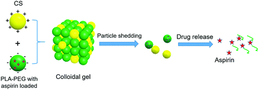 Graphical abstract: Drug-loading colloidal gels assembled from polymeric nanoparticles as an anti-inflammatory platform