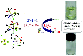 Graphical abstract: Ru(ii)- and Ru(iv)-dmso complexes catalyze efficient and selective aqueous-phase nitrile hydration reactions under mild conditions