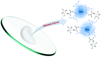Graphical abstract: Carbon dots prepared from citric acid and urea by microwave-assisted irradiation as a turn-on fluorescent probe for allantoin determination
