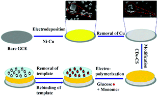 Graphical abstract: Construction of a selective non-enzymatic electrochemical sensor based on hollow nickel nanospheres/carbon dots–chitosan and molecularly imprinted polymer film for the detection of glucose