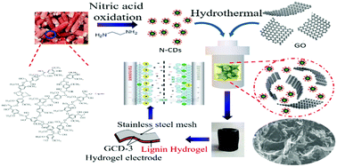 Graphical abstract: An all-lignin-based flexible supercapacitor based on a nitrogen-doped carbon dot functionalized graphene hydrogel