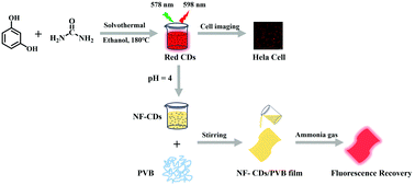 Graphical abstract: Red fluorescent carbon dots excited by visible light: cell imaging and visual detection of ammonia gas using PVB films