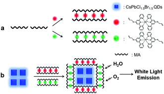 Graphical abstract: Encapsulation of perovskite quantum dots into a LnIII-incorporating polymer matrix to achieve white light emission
