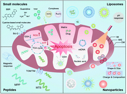 Graphical abstract: Recent progress in mitochondria-targeting-based nanotechnology for cancer treatment