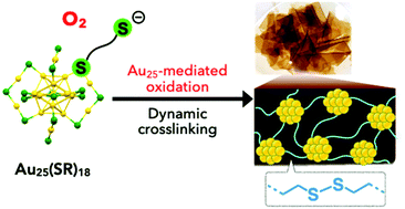 Graphical abstract: Self-promoted solid-state covalent networking of Au25(SR)18 through reversible disulfide bonds. A critical effect of the nanocluster in oxidation processes