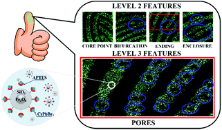 Graphical abstract: Magnetic perovskite nanoparticles for latent fingerprint detection