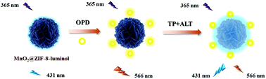 Graphical abstract: Dye-functionalized metal–organic frameworks with the uniform dispersion of MnO2 nanosheets for visualized fluorescence detection of alanine aminotransferase