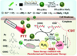 Graphical abstract: Polypyrrole-based nanotheranostic agent for MRI guided photothermal-chemodynamic synergistic cancer therapy