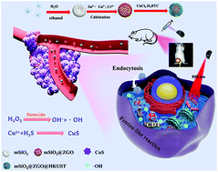 Graphical abstract: HKUST-1 nano metal–organic frameworks combined with ZnGa2O4:Cr3+ near-infrared persistent luminescence nanoparticles for in vivo imaging and tumor chemodynamic and photothermal synergic therapy