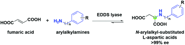 Graphical abstract: Biocatalytic enantioselective hydroaminations enabling synthesis of N-arylalkyl-substituted l-aspartic acids
