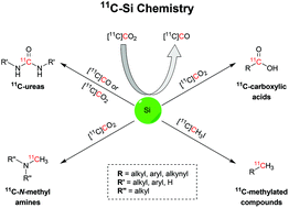 Graphical abstract: Silicon compounds in carbon-11 radiochemistry: present use and future perspectives