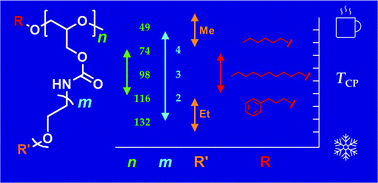 Graphical abstract: Poly[glycidyl oligo(oxyethylene)carbamate]s (PGn-EOmR′ and R-PGn-EOmR′): controlled synthesis and effects of molecular parameters (n and m), side groups (R′), and end-groups (R) on thermoresponsive properties