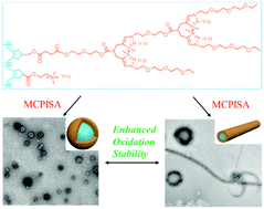 Graphical abstract: Ionic polyacetylene with a unique nanostructure and high stability by metathesis cyclopolymerization-induced self-assembly