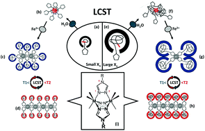 Graphical abstract: Thermoresponsive polymers as macromolecular coordination ligands: complexation-dependence of thermally induced aggregation in aqueous solution