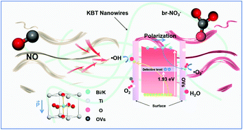 Graphical abstract: Linking the enhanced deep NO oxidation of a ferroelectric K0.5Bi0.5TiO3 nanowire photocatalyst to its spontaneous polarization and oxygen vacancies