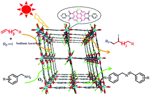 Graphical abstract: Photoactive perylenediimide metal–organic framework for boosting iodoperfluoroalkylation of alkenes and oxidative coupling of amines