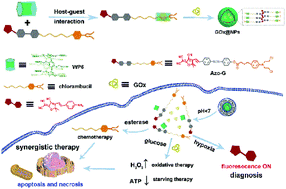 Graphical abstract: Tumor microenvironment-activatable boolean logic supramolecular nanotheranostics based on a pillar[6]arene for tumor hypoxia imaging and multimodal synergistic therapy