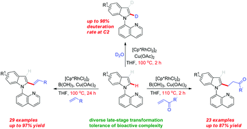 Graphical abstract: Access to the C2 C–H olefination, alkylation and deuteration of indoles by rhodium(iii) catalysis: an opportunity for diverse syntheses