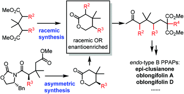 Graphical abstract: Strategies towards endo-type B polycyclic polyprenylated acylphloroglucinols: total synthesis of regio-hyperibone L and (+)-epi-clusianone
